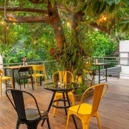 סאן סלבדור Kaleo Hotel Boutique מראה חיצוני תמונה