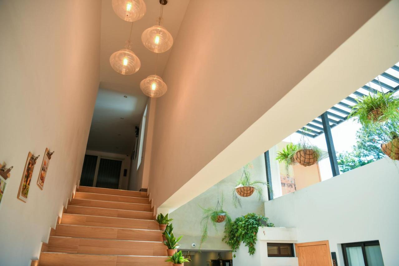 סאן סלבדור Kaleo Hotel Boutique מראה חיצוני תמונה