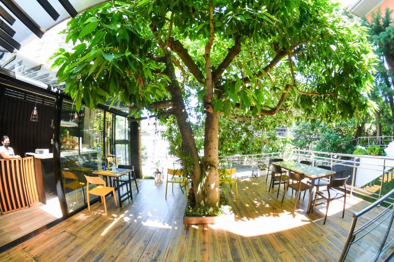 סאן סלבדור Kaleo Hotel Boutique מראה חיצוני תמונה