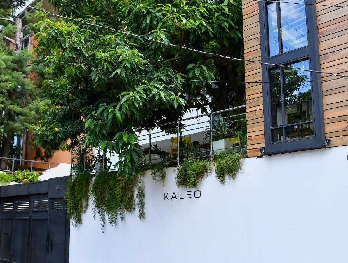 סאן סלבדור Kaleo Hotel Boutique מראה חיצוני תמונה
