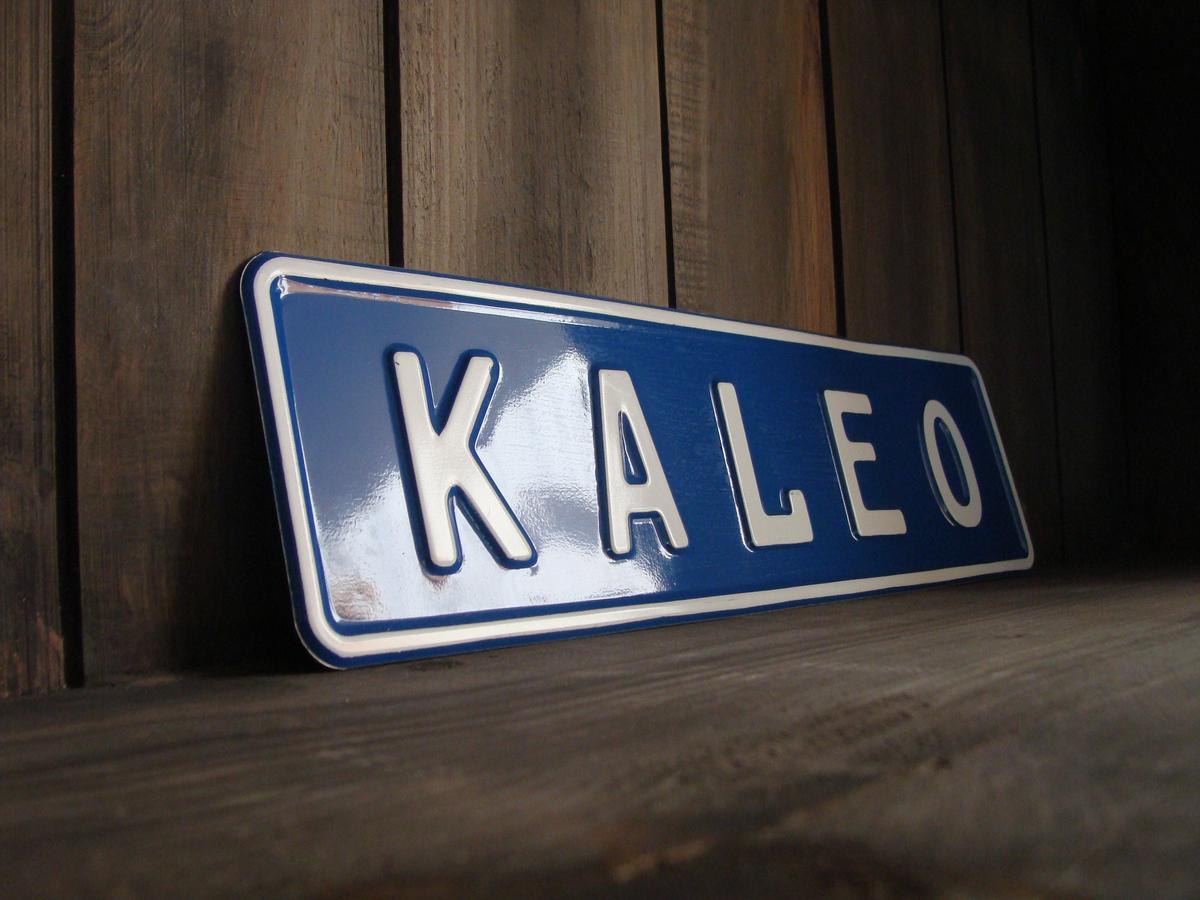 סאן סלבדור Kaleo Hotel Boutique מראה חיצוני תמונה